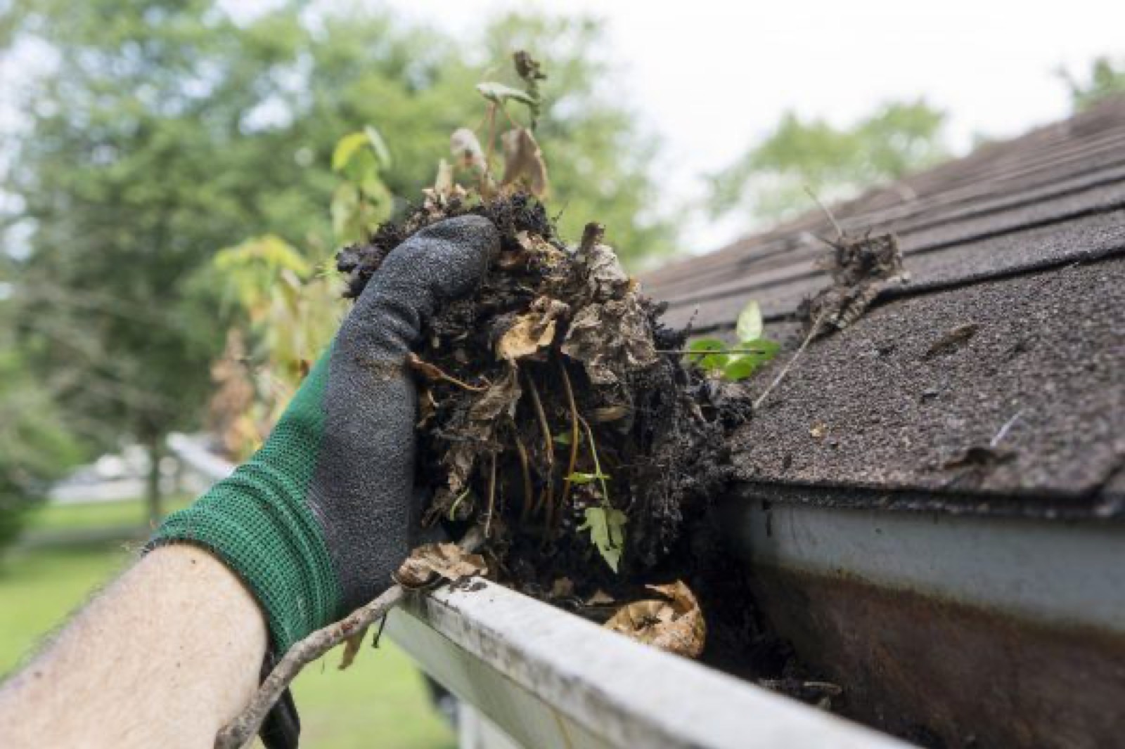 Gutter Guard Installation in LaGrange, GA